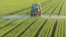 The report warns that the plants, insects and organisms considered crucial to food production are in 'steep decline'